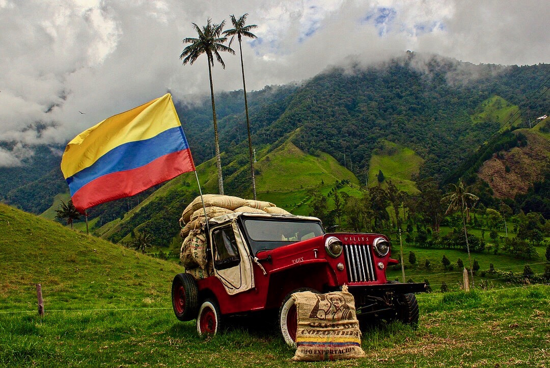 Colombian Coffee Triangle Landscape
